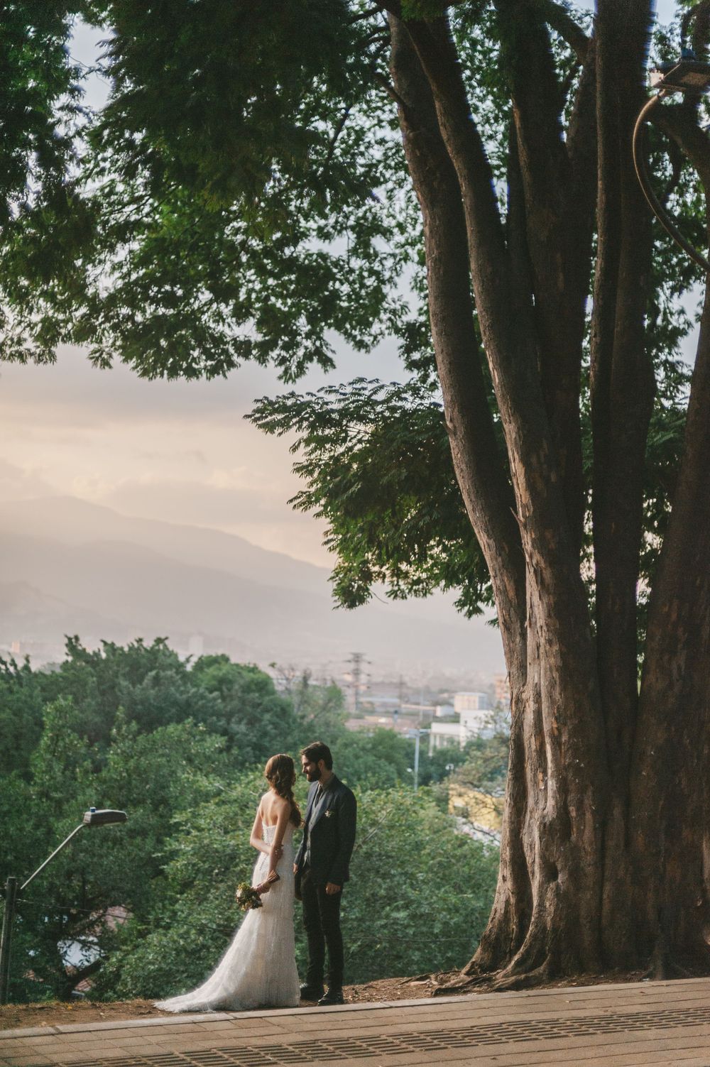 Newlyweds standing next to a tree in Medellin.
