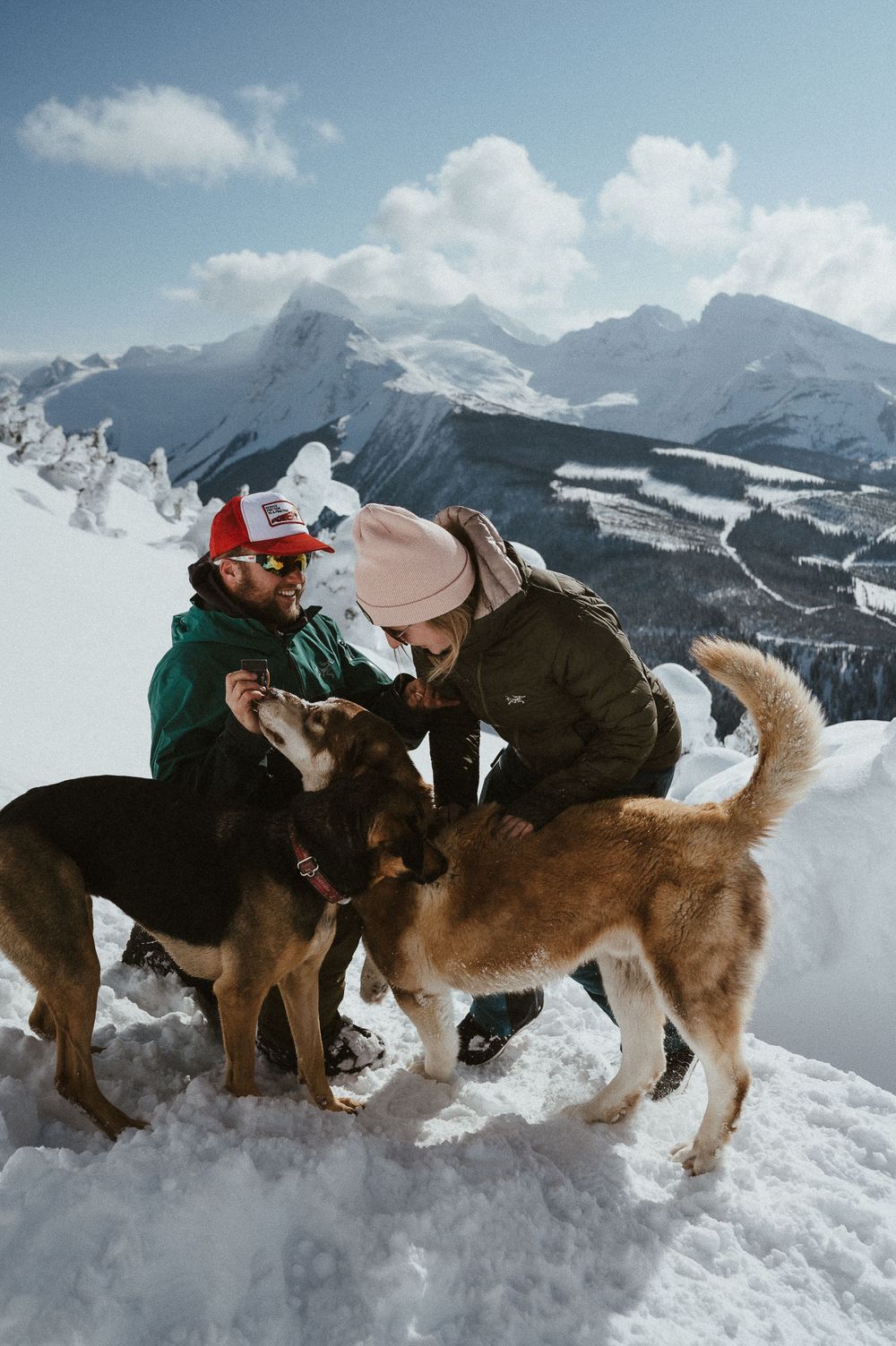 Two dogs with their owners enjoying a snowy mountain vista on a bright winter day.