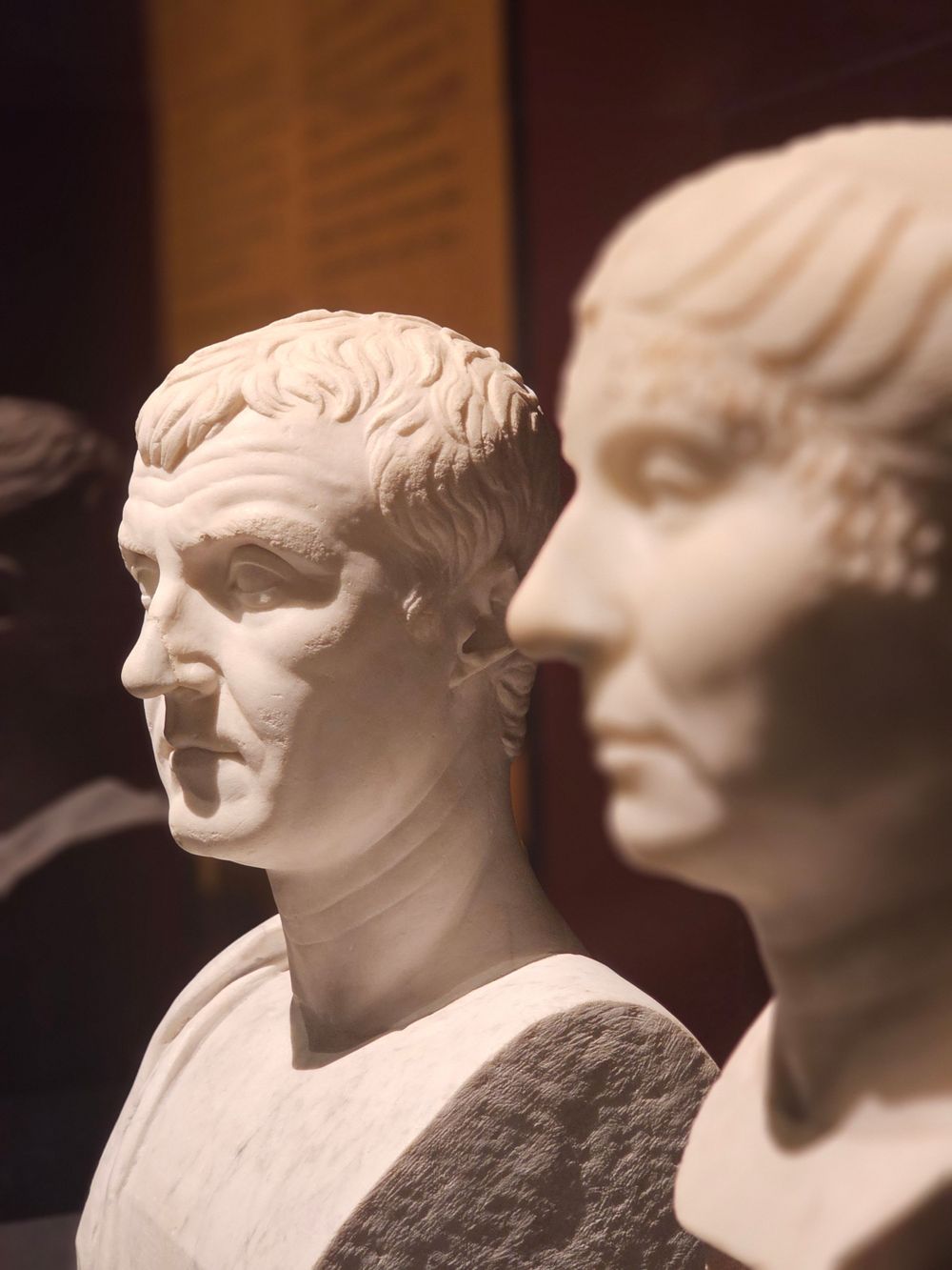 Classical Roman marble bust sculptures displayed in profile view.