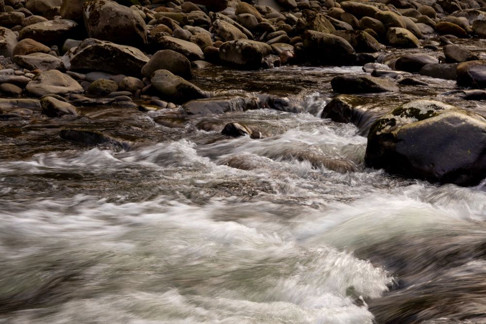 White water rapids flow around large rocks in a mountain stream.