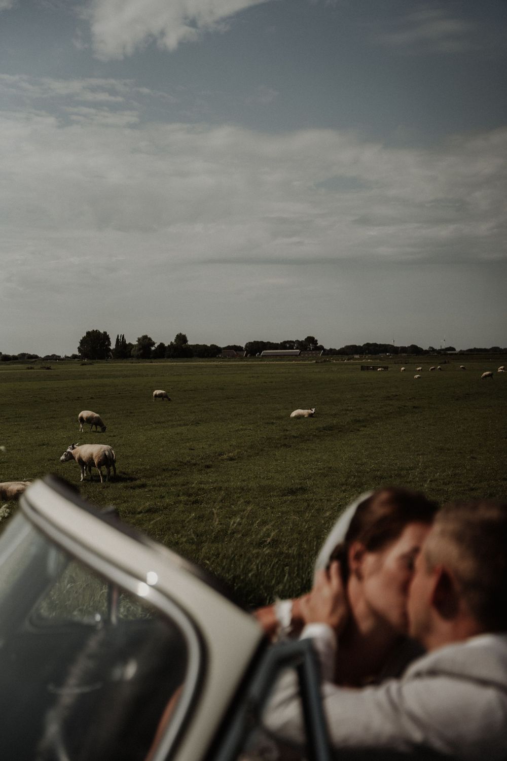 A pastoral countryside scene with grazing sheep and a vintage car in the foreground.