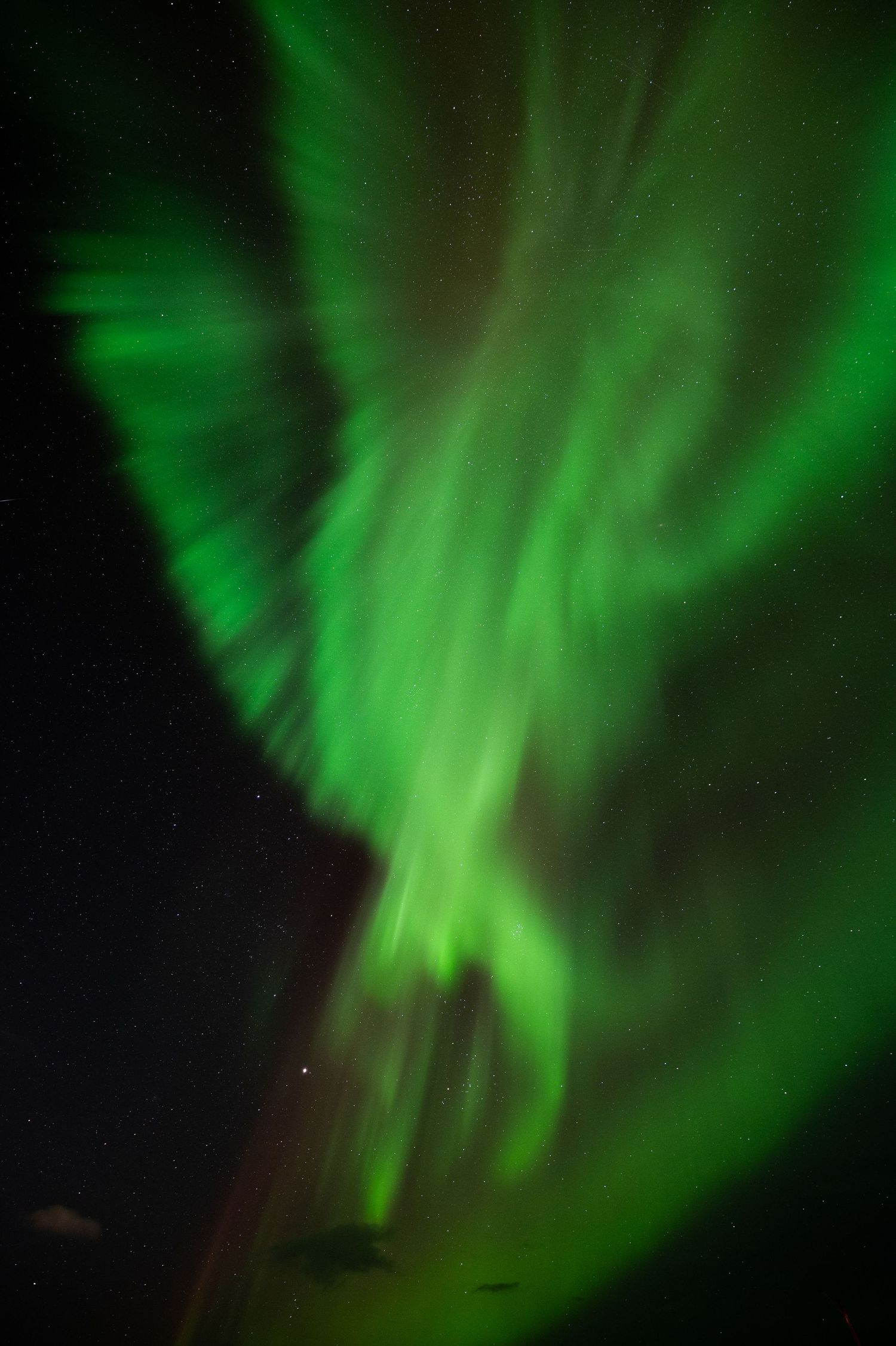 Bright green northern lights forming wing-like patterns against the dark night sky.
