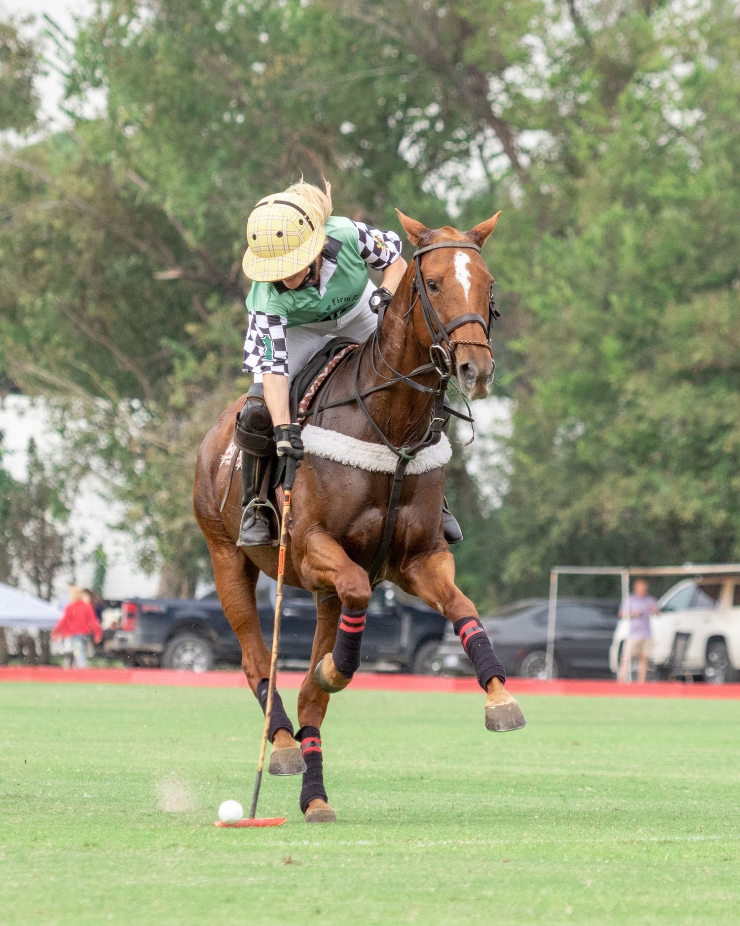 Polo