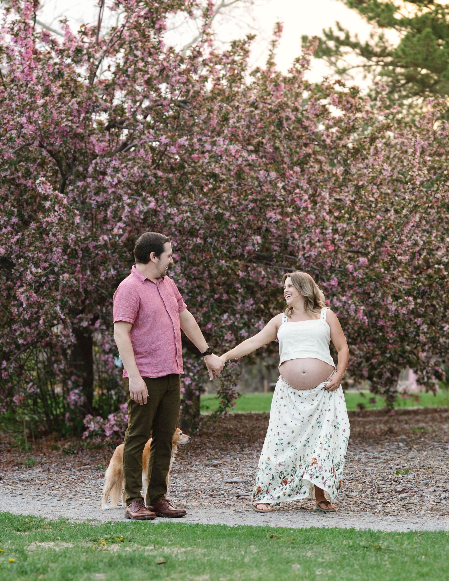 Couple walking and dancing together among blooming pink cherry blossom trees in a spring garden setting.