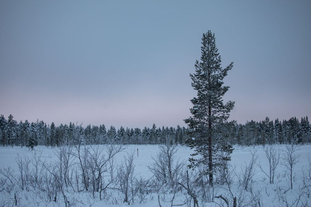 Finland snowscape
