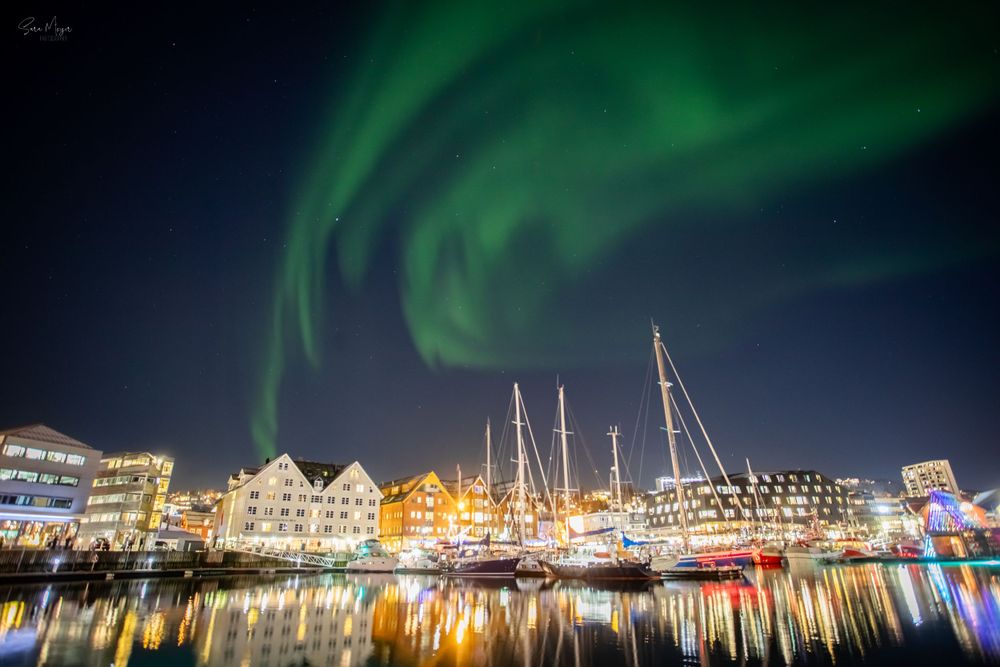 Northern Lights