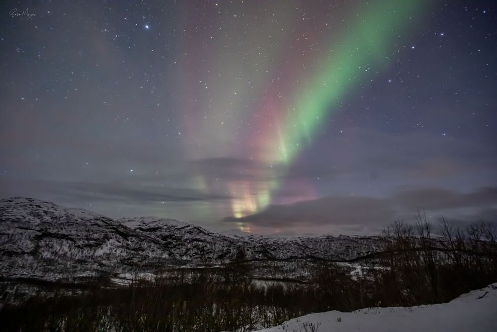 Northern Lights