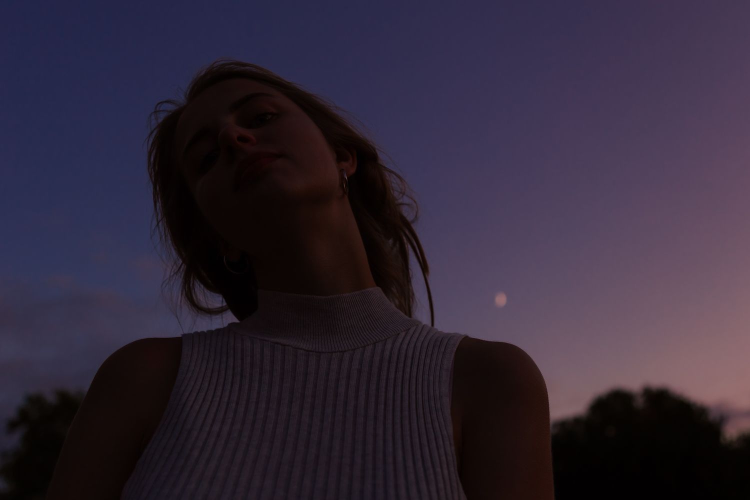 Silhouette against purple sunset sky with dreamy atmosphere.