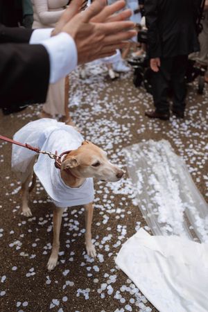 West Yorkshire based Uk wedding photographer, editorial wedding photography uk