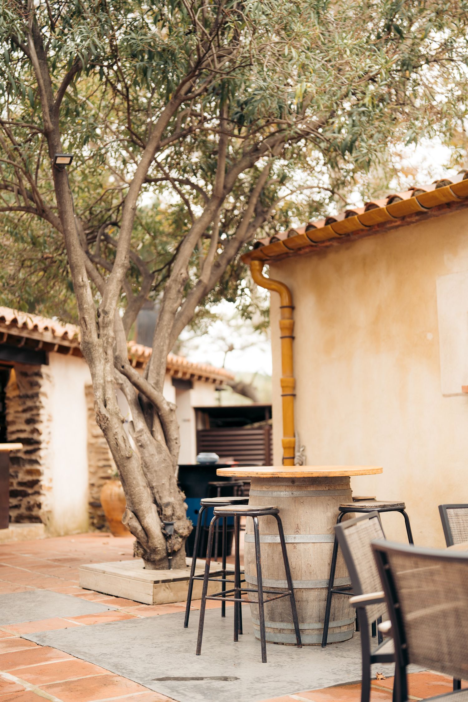 clos des paulilles restaurant terrasse bar