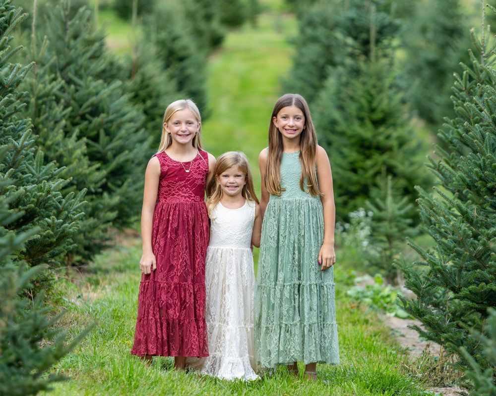 Sisters in tiered dresses stand together between rows of evergreen trees at a Mistletoe Christmas tree farm in Stow during family photos.