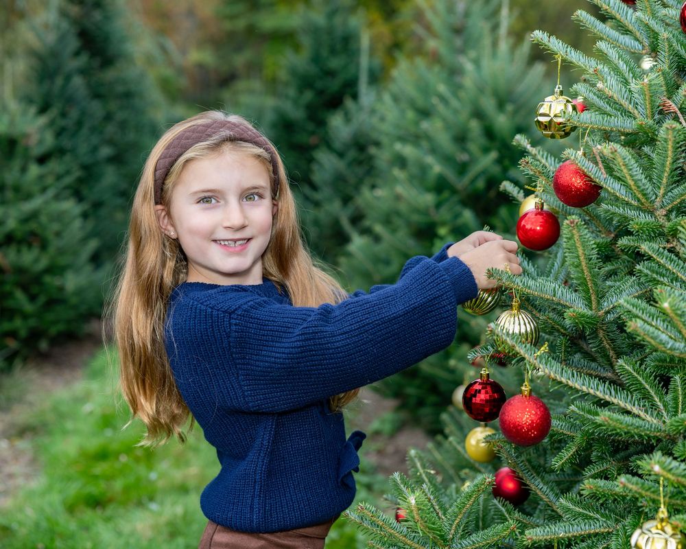 A girl decorating an evergreen Christmas tree with ornaments at a tree farm while wearing a navy blue sweater during family photos in Stow.