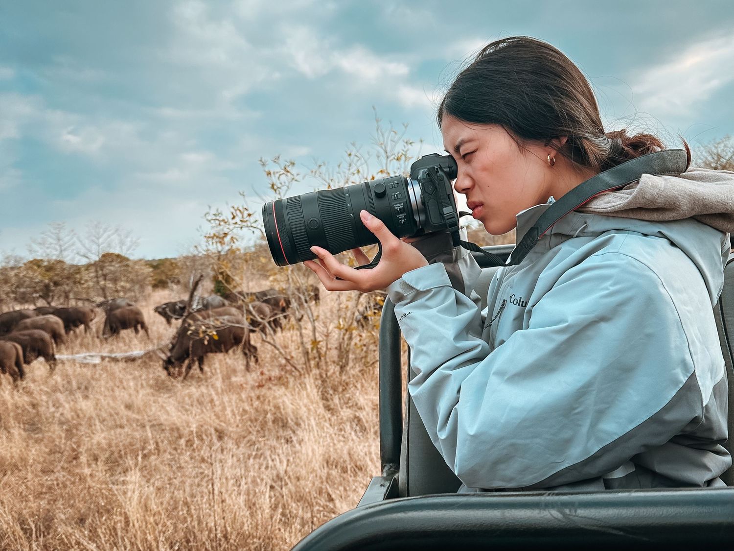 Safari photographer capturing wildlife scenes in a savanna landscape.