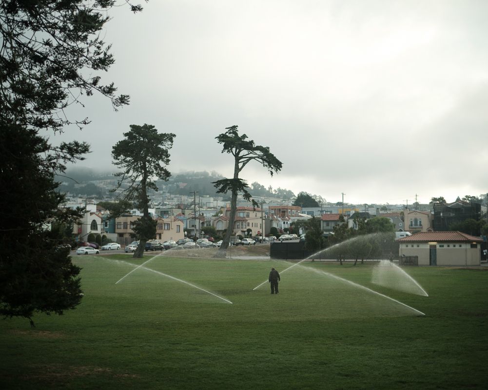 Sprinklers water green hillside park with city view and tall trees.