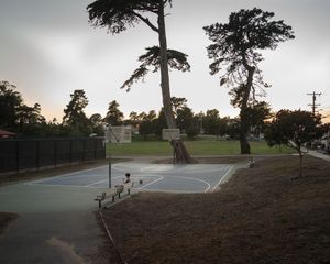 Outdoor basketball court with tall trees at sunset in an urban park setting.