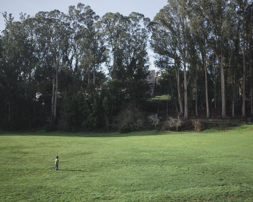 Lone figure stands in vast green field surrounded by tall eucalyptus trees.