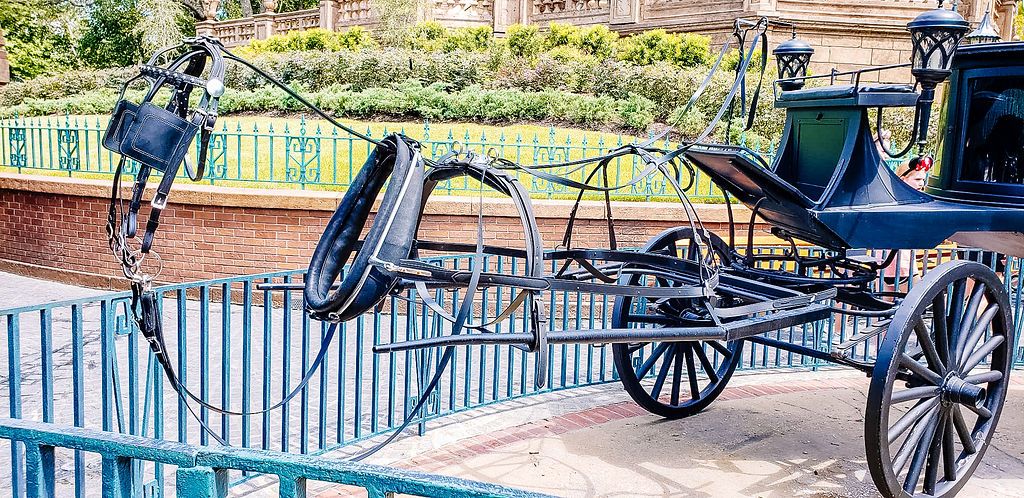 Vintage black horse carriage reflected in placid pool water with a decorative blue railing in a garden setting.