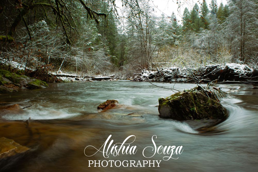 Cold snowy stream in the forest