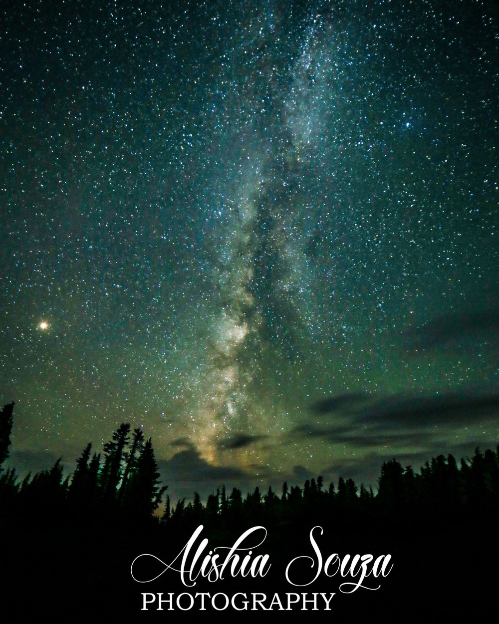 Milky Way Galaxy over the trees in Lassen National Forest