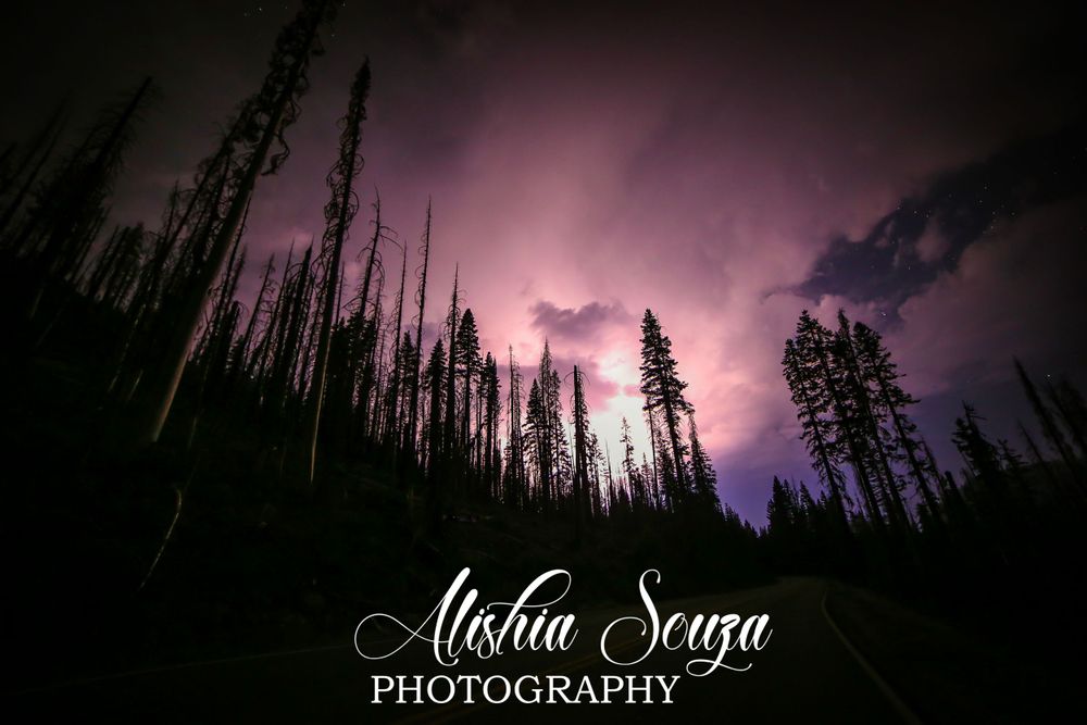 Lighting storm over Devastated Forest in Lassen National Park