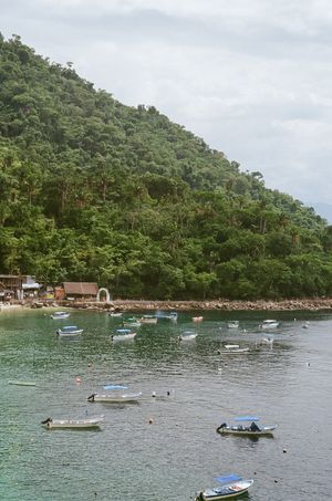 Small fishing boats anchored in a tranquil bay with lush green hills and cloudy skies in Brazil.