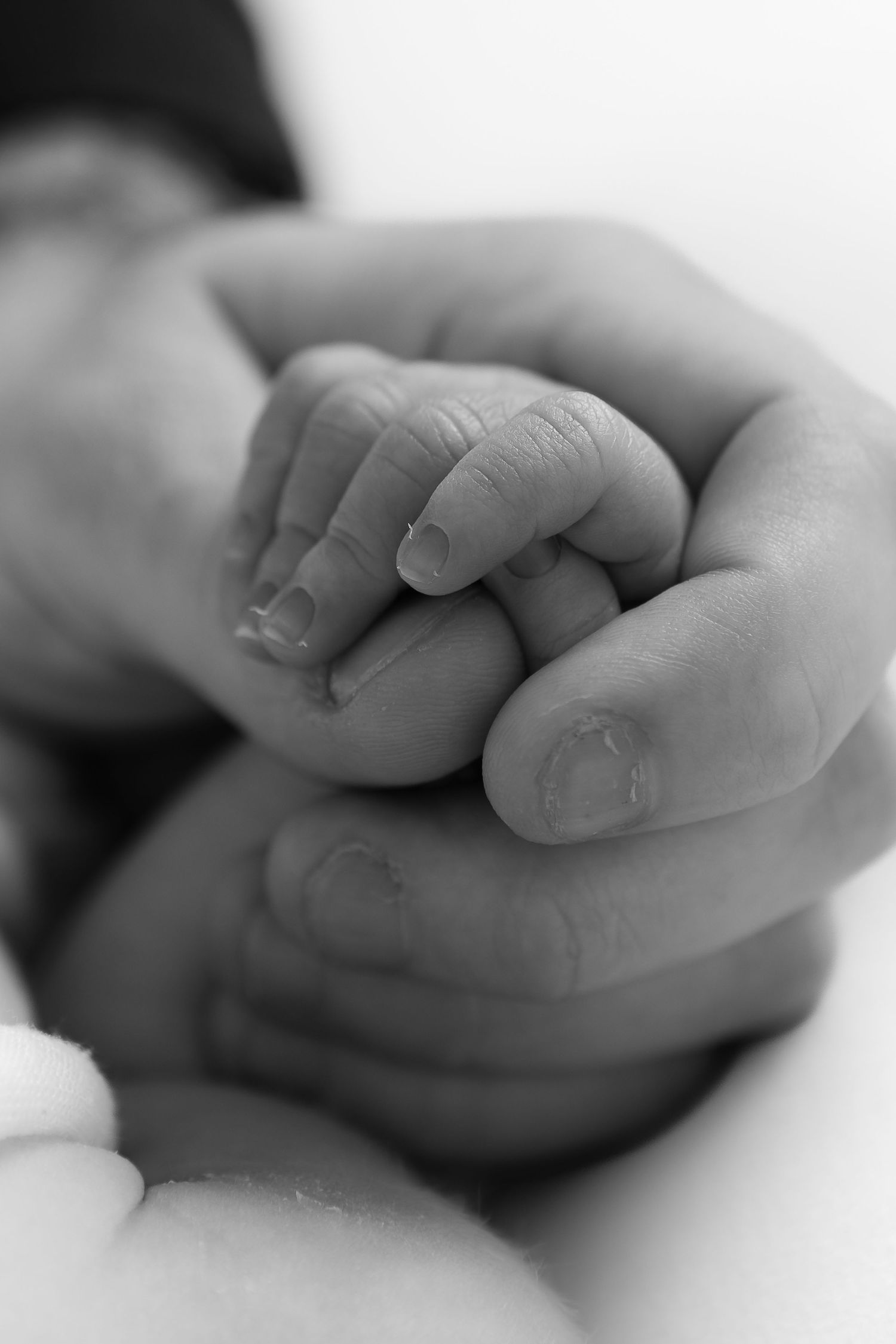 Tender black and white image of adult hand holding tiny newborn fingers.