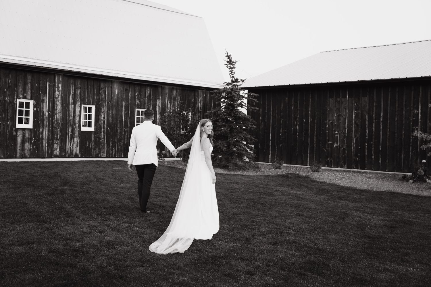 A couple in wedding attire walks across the grass near rustic dark wooden barns on their special day, south of Edmonton, AB, Canada