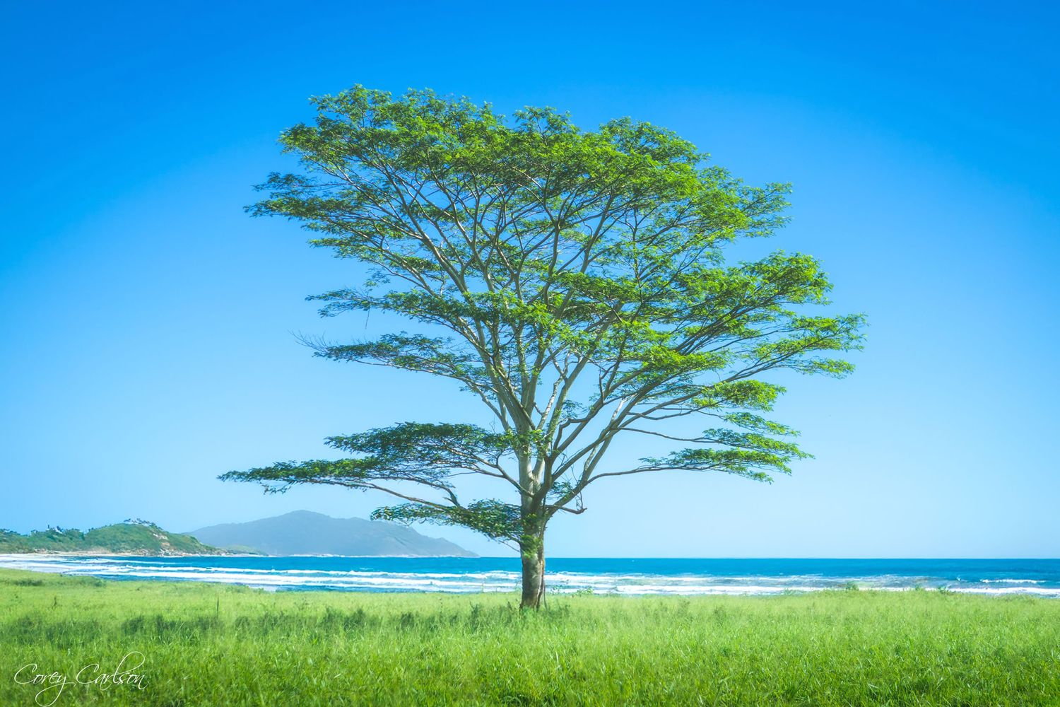 Fine Art Photography