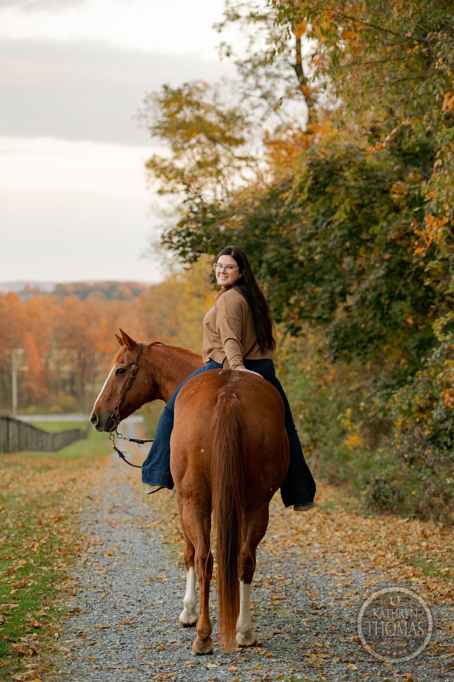 A chestnut horse walks along a peaceful autumn trail as evening light filters through colorful trees.