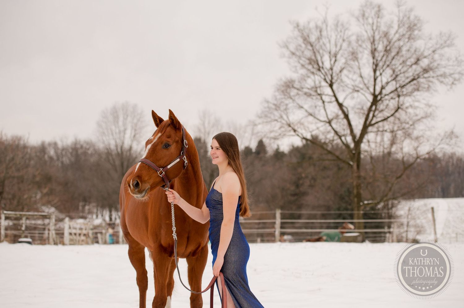 Navy gown creates striking contrast against chestnut horse in winter landscape.