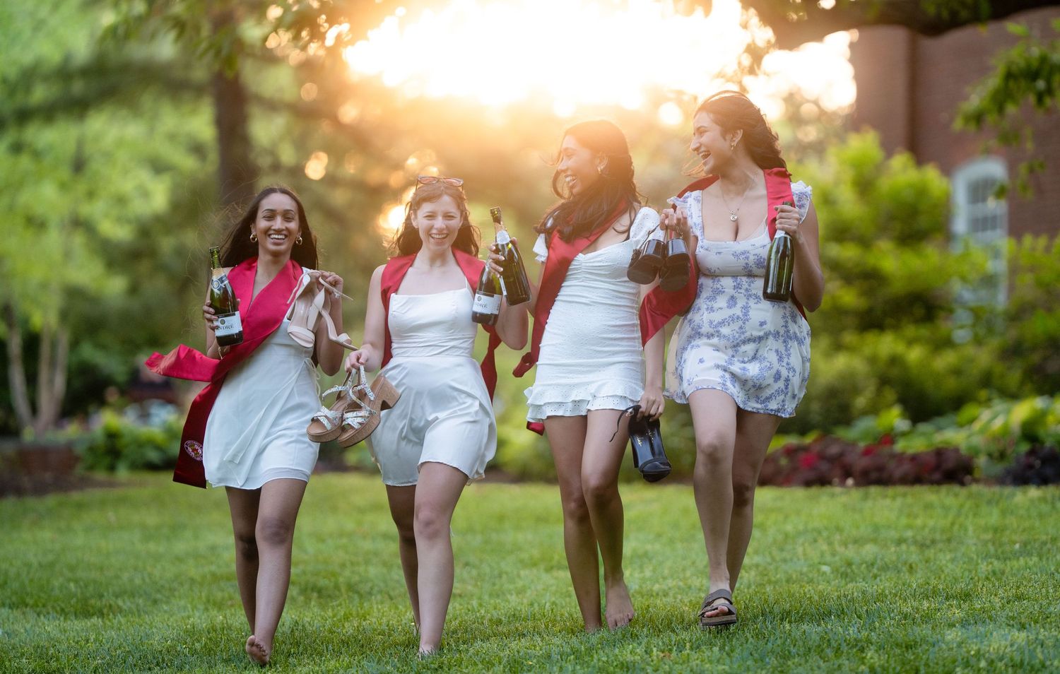 Group walking on grass during golden hour sunset.