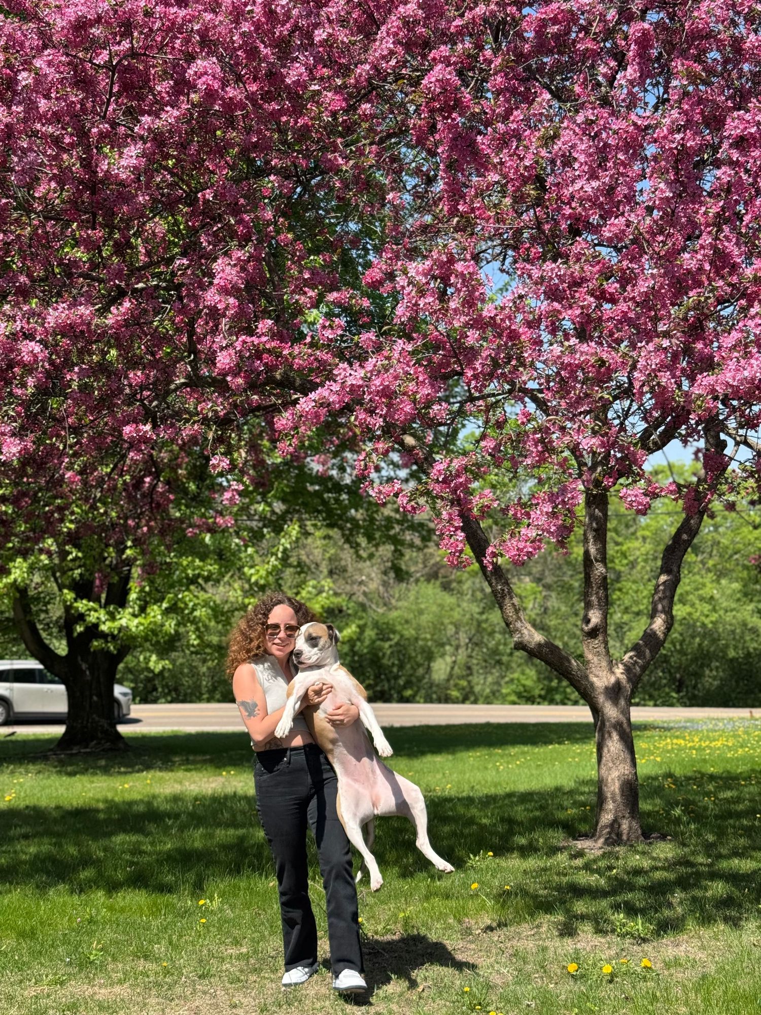 A couple shares a tender moment under blooming pink cherry blossom trees in a spring garden setting.