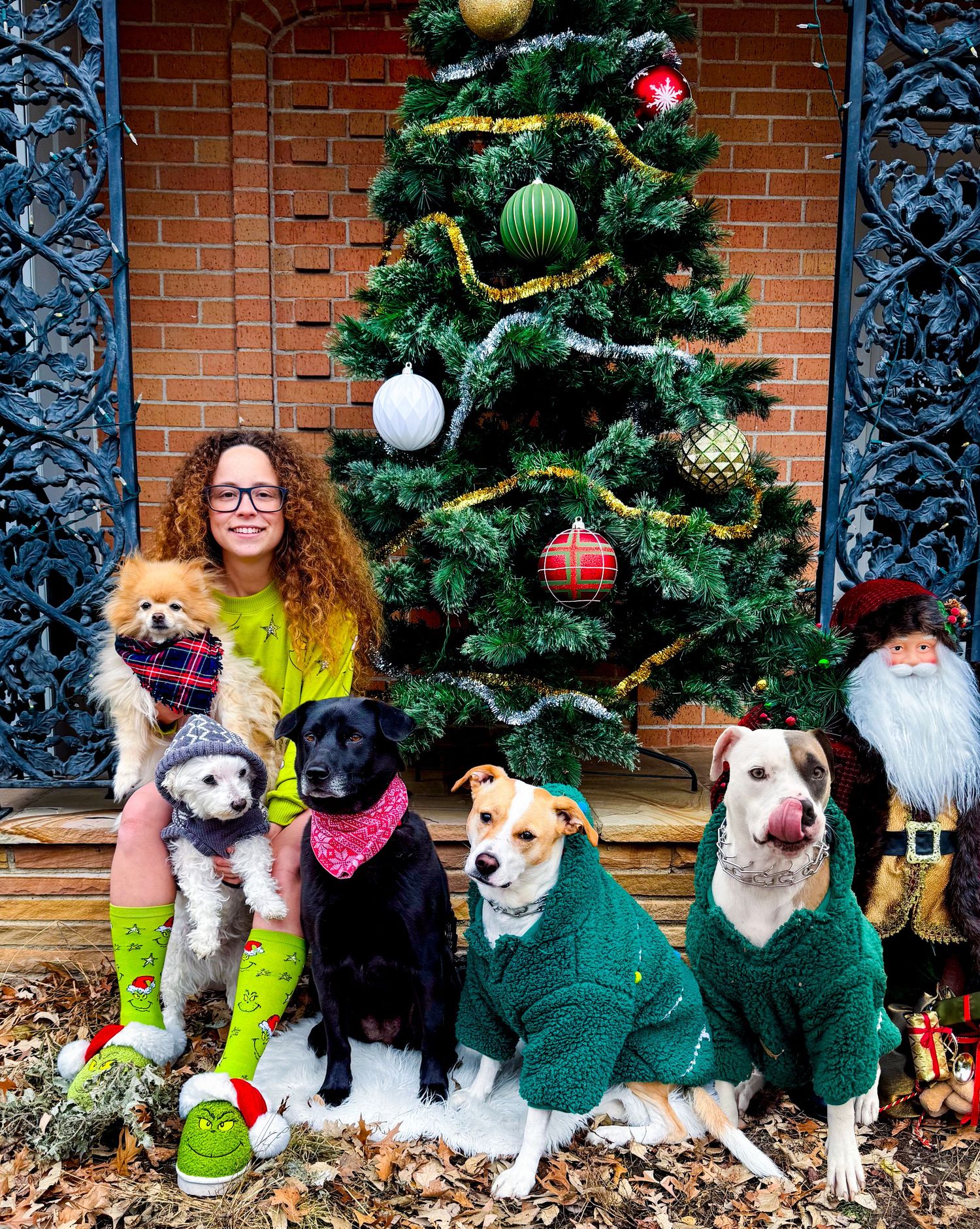 Dogs wearing festive green sweaters sit in a row next to a decorated Christmas tree against a brick wall.