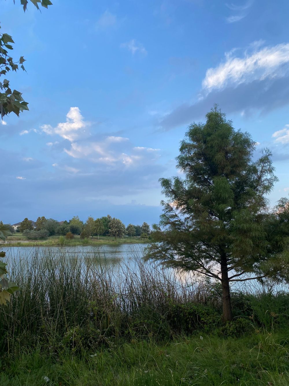 Bridgeland, TX