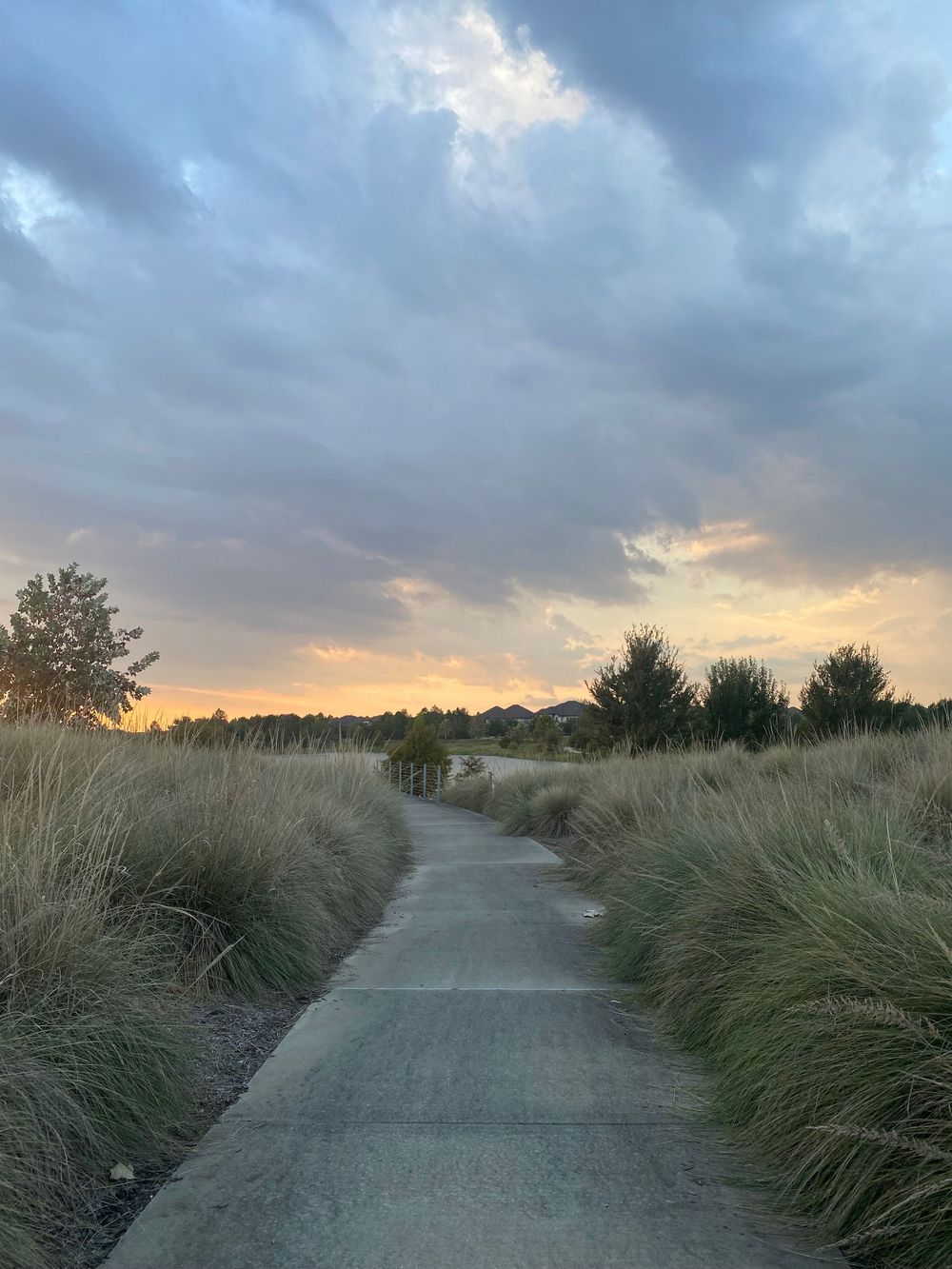 Bridgeland, TX
