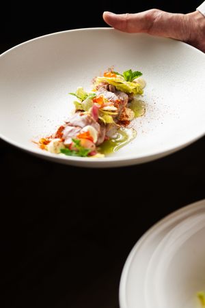 Elegant plated dish featuring fresh ingredients artfully arranged on a white ceramic plate.