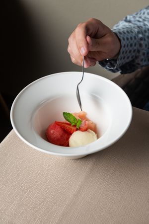Artfully presented fruit sorbet with mint leaf in a modern white bowl.