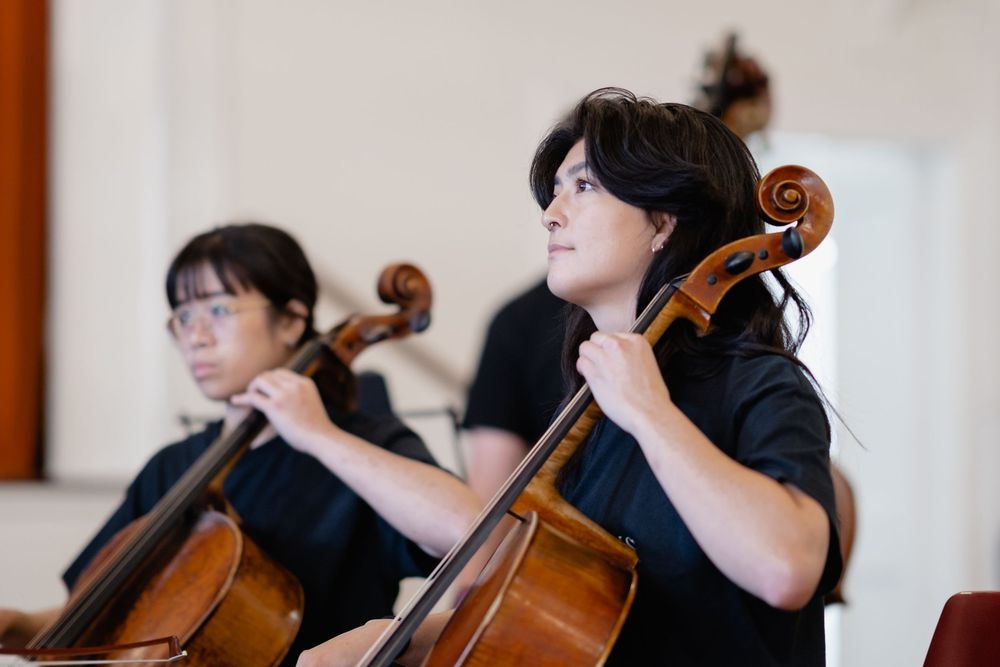 Musicians playing cellos in an orchestral performance setting.