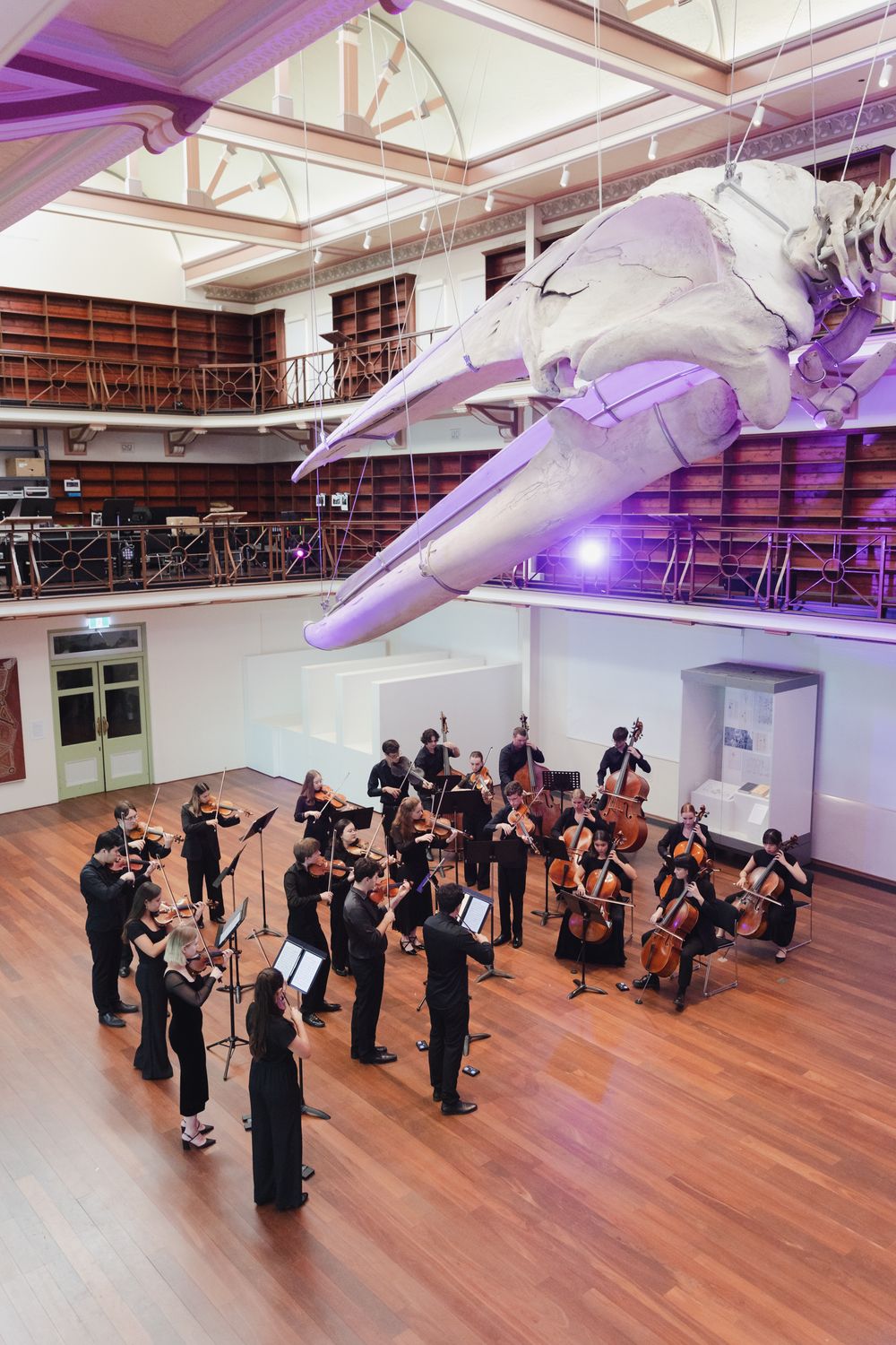 Musicians performing in formation on a wooden floor under purple-lit ceiling with white decorative elements.