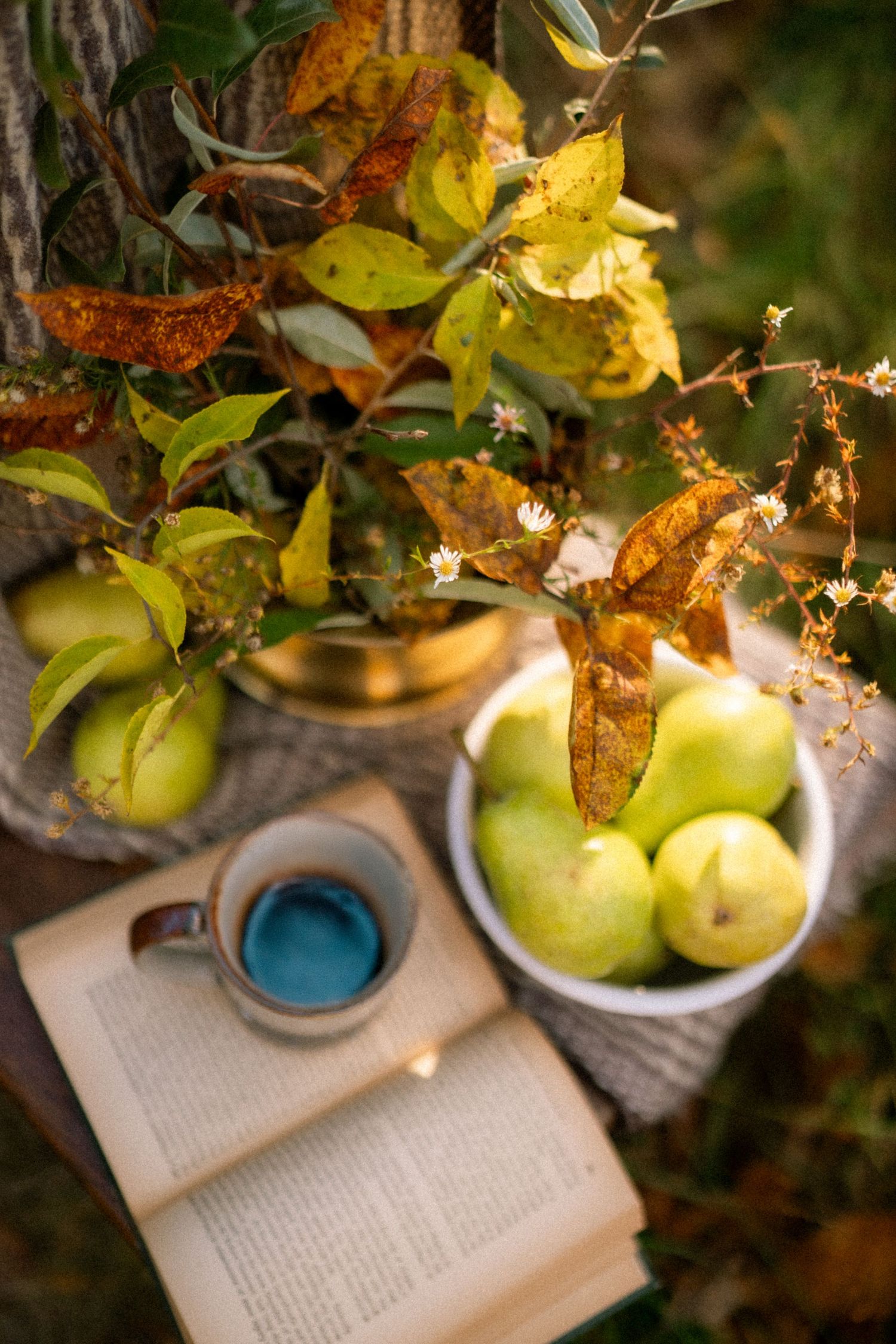 Cozy autumn still life with open book, green apples and glowing string lights creating warm ambiance.