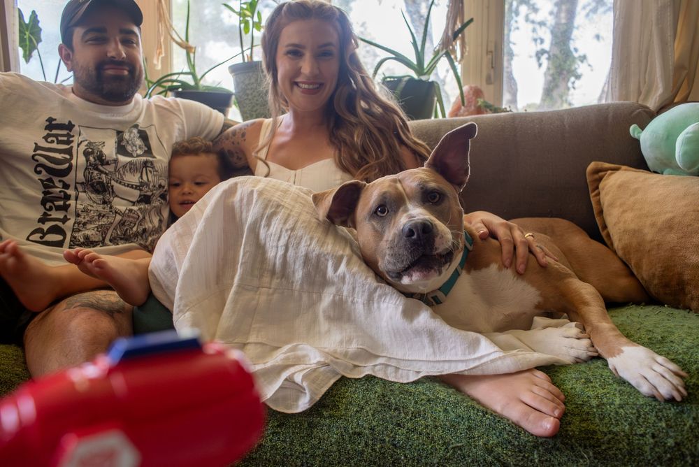 A smiling dog, laying on the couch with his family at home in Lansing, Michigan