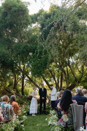 Outdoor wedding ceremony under tall trees with guests seated on lawn.