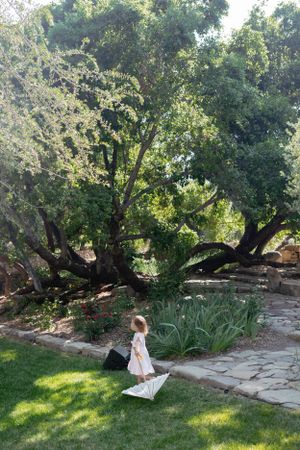 A serene garden setting with stone pathways, lush trees, and a picnic blanket on the grass.