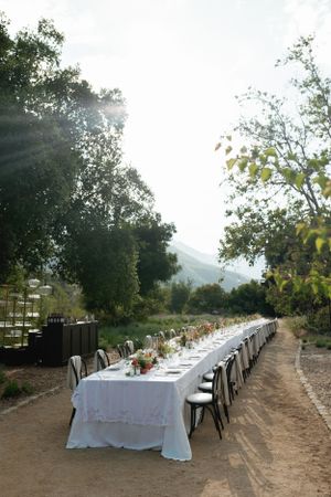 A long white dining table set up outdoors with mountain views and sunlight filtering through trees.