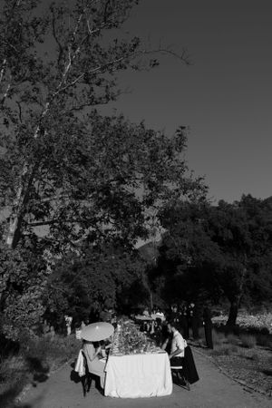 Black and white aerial view of outdoor dining setup under trees.