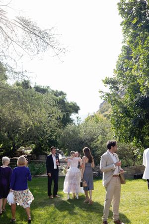 Outdoor garden gathering with guests mingling on a sunny lawn.