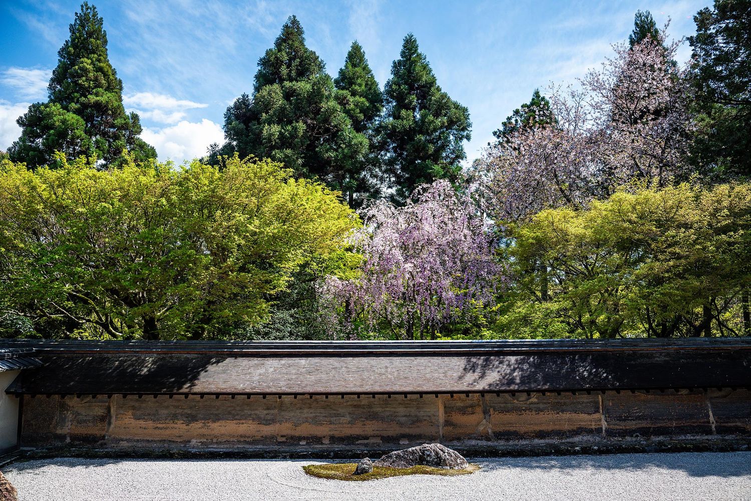 A panoramic view of a Japanese garden with cherry blossom trees and green foliage against a blue sky.