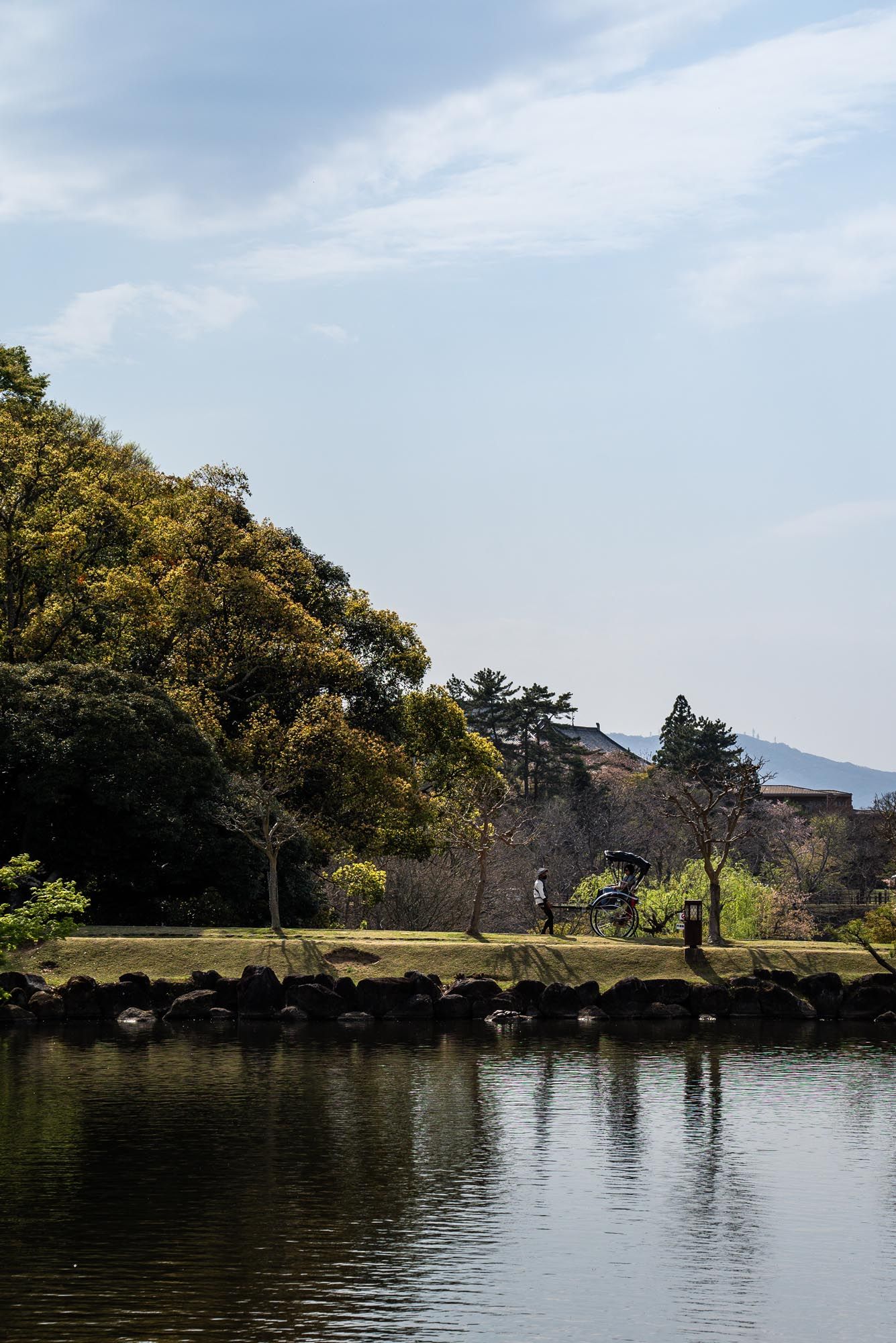 Tranquil lake view with trees and mountains in the background under a cloudy sky.