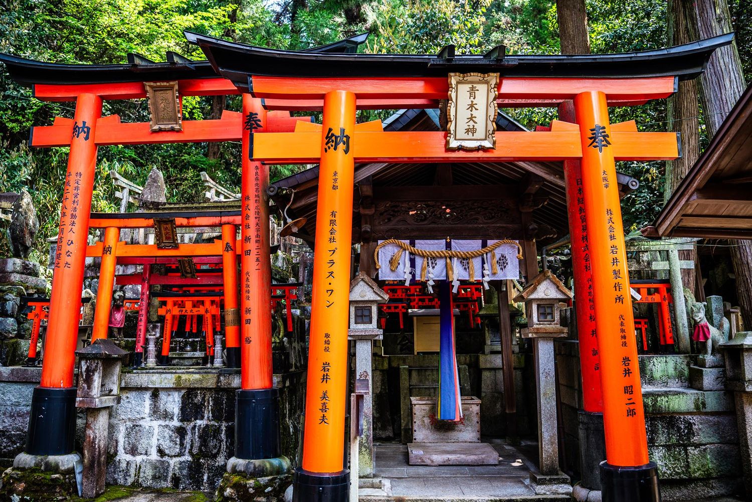 Row of vermillion torii gates at Fushimi Inari Shrine in Kyoto leading up stone steps through forest.
