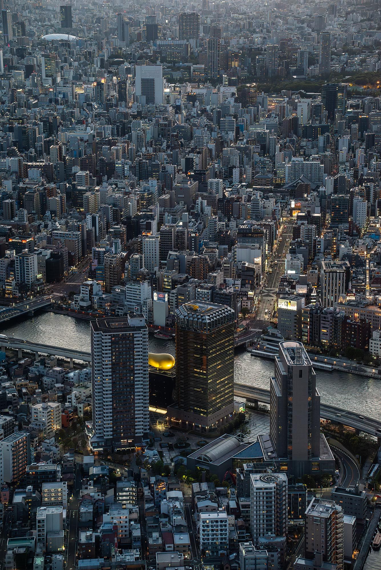 Aerial panoramic view of Tokyo cityscape at dusk with dense skyscrapers and winding river through urban landscape.